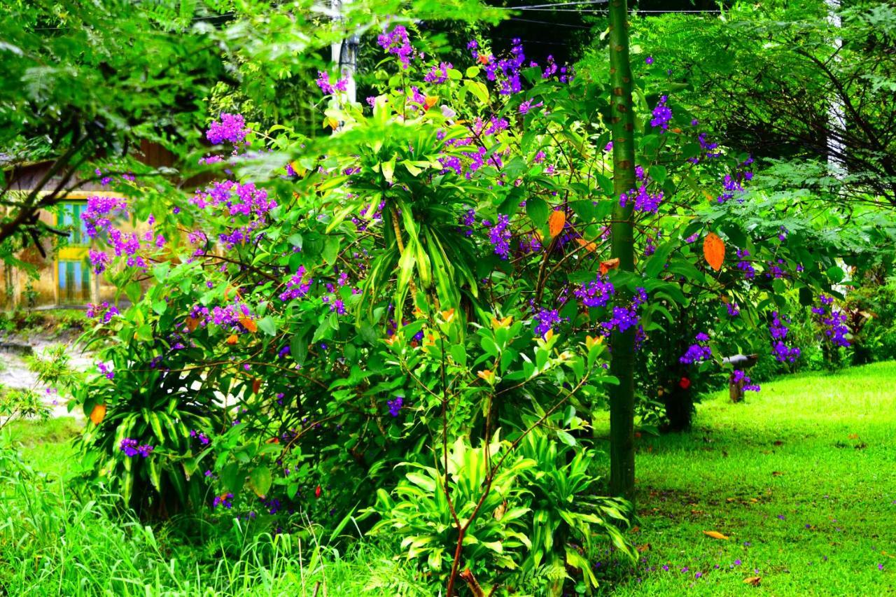 Pousada Duda Mel Ilha do Mel Exterior foto
